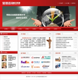 No.2056  管理咨询公司网站
