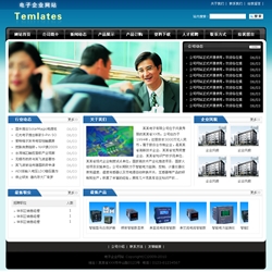 No.6010  电子产品生产企业网站