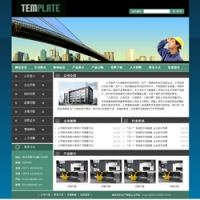 No.4011  建筑材料生产企业网站