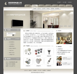No.4255  照明电气公司网站