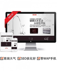 饮水器净水设备类网站织梦dedecms模板(带手机端)